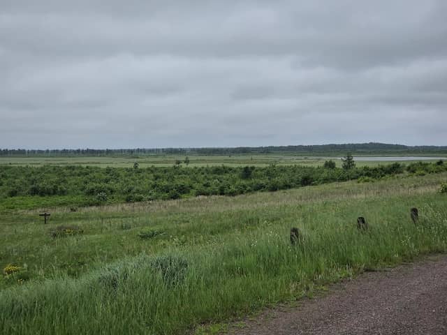Crex Lookout - Image 3