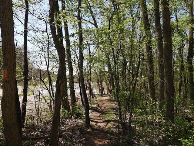 Haiku Trail - Image 1