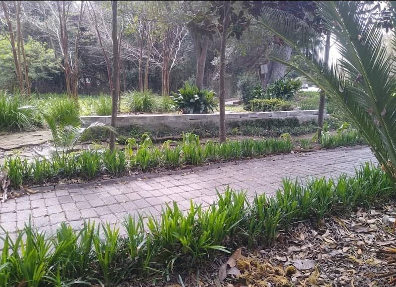 Community Orchard and Garden - Image 2