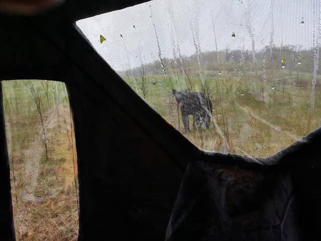 Kostka Waterfowl Production Area - Image 2