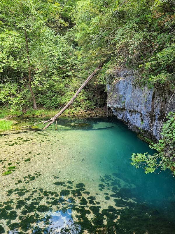 Ha Ha Tonka State Park - Image 1