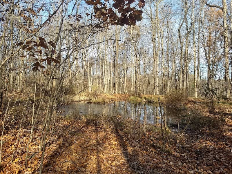Natural Lands' Meng Preserve - Image 2