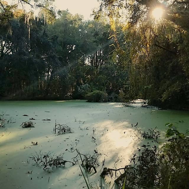 Chapman's Pond - Image 2