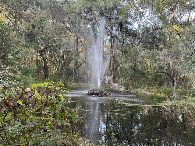 Chapman's Pond - Image 1