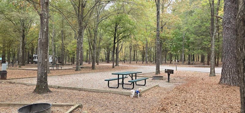 Parks Ferry Campground - Image 1