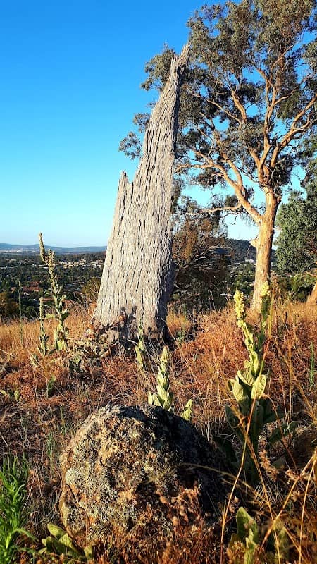 Palmer Hill - Image 1