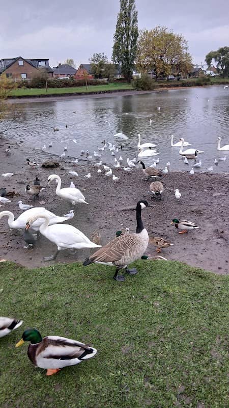 Clayhole Park - Image 1