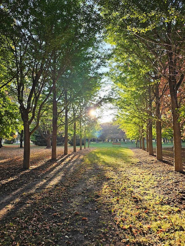 Paul Lange Arboretum - Image 2