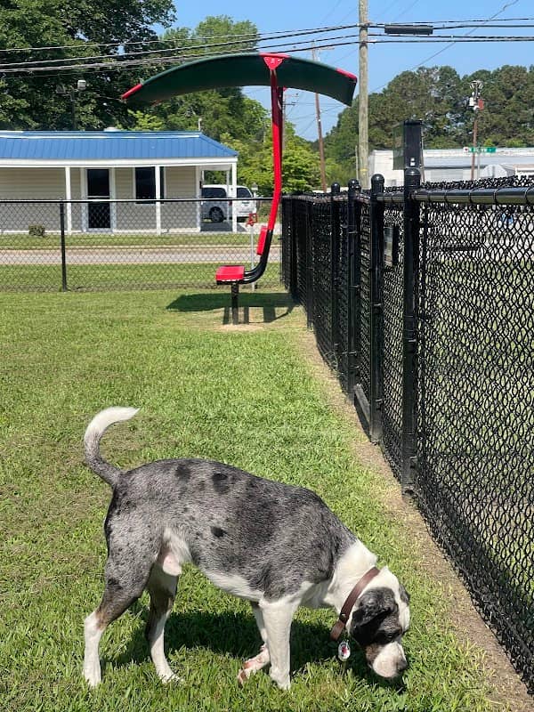 Dog Park - Image 1