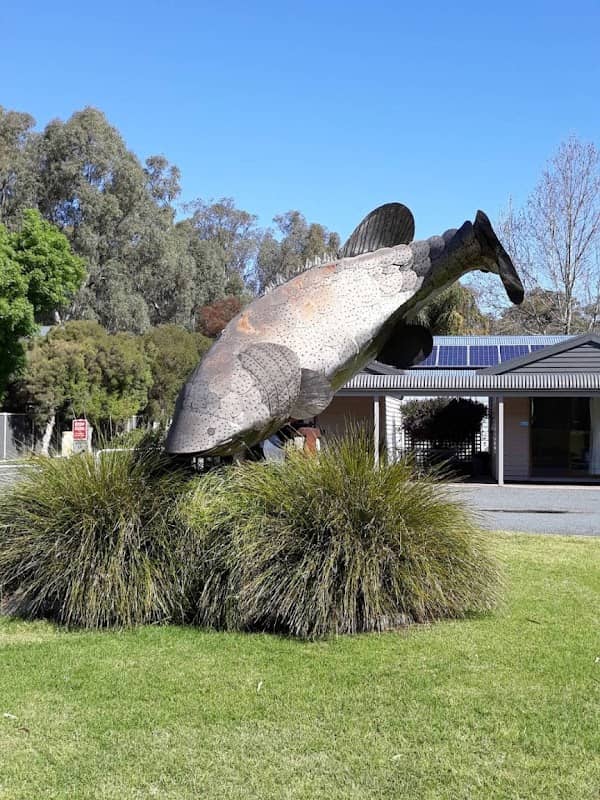 The Big Murray Cod Deniliquin - Image 1