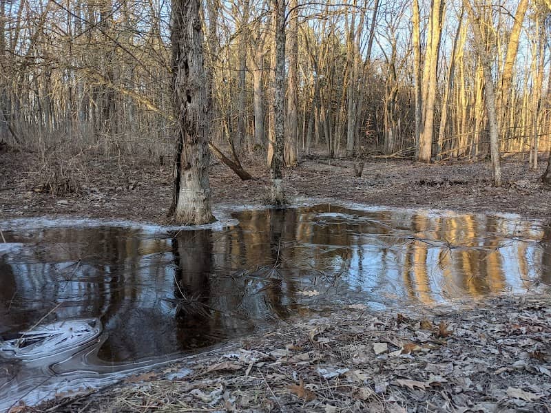 Cicero Swamp Wildlife Management Area - Image 1