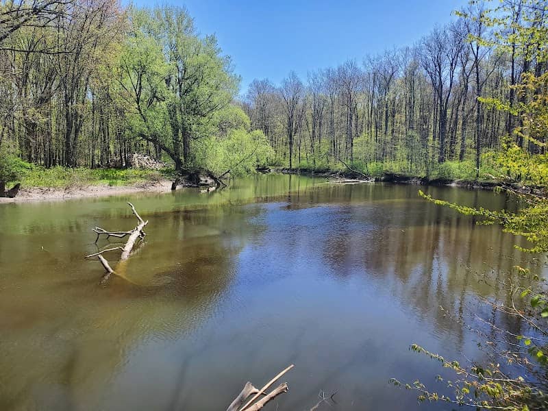 Cicero Swamp Wildlife Management Area - Image 2