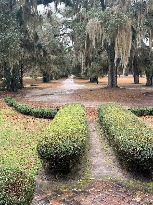Mansfield Plantation - Image 2
