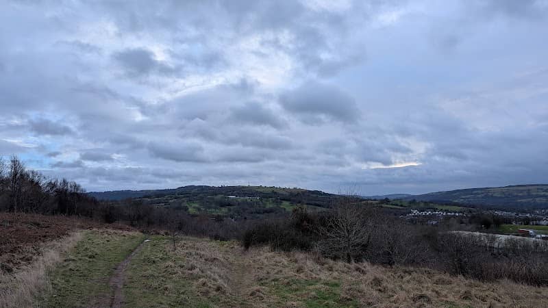 Bryn Hill - Image 2