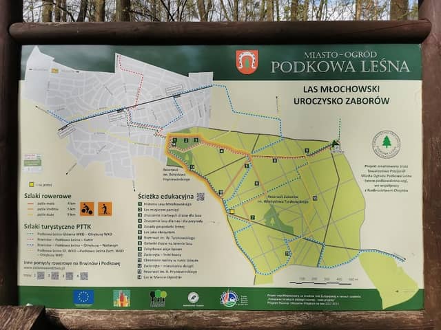 Las Młochowski - Image 1