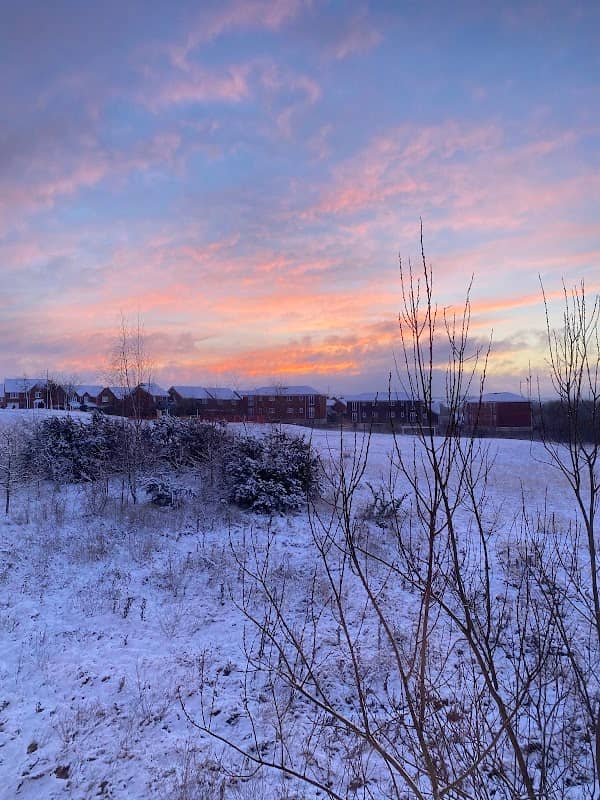 Bur Tree Park - Image 1