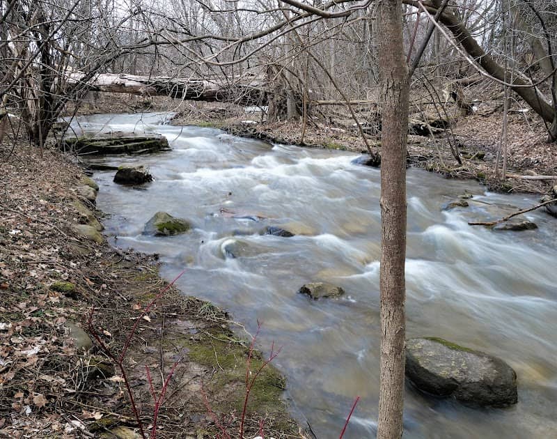 Ferguson Falls - Image 2