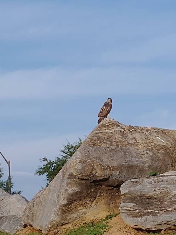 Rock Park Walking Trail - Image 2