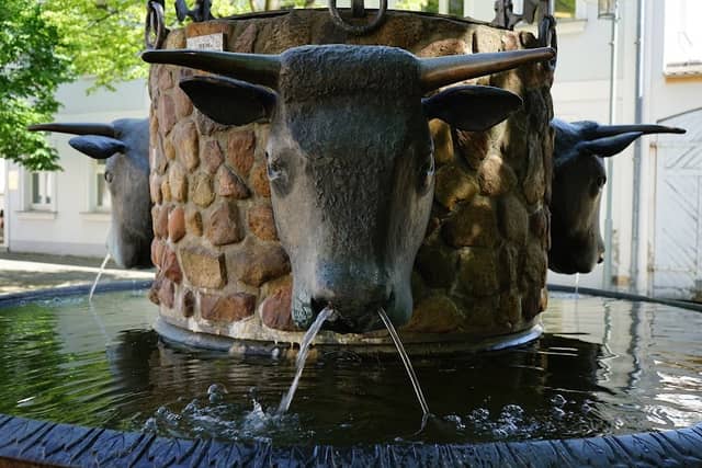 Bullwinkelbrunnen Spremberg - Image 2