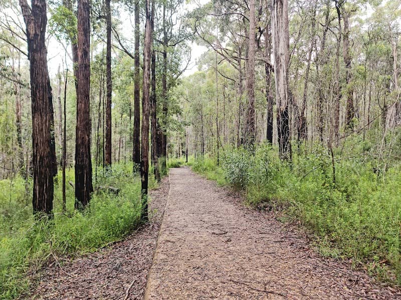 Granite Falls walking track - Image 2