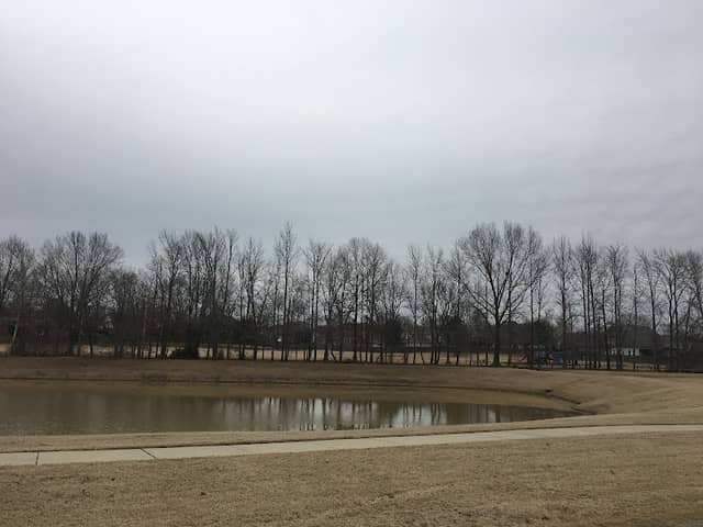 Estanaula Park - Image 1