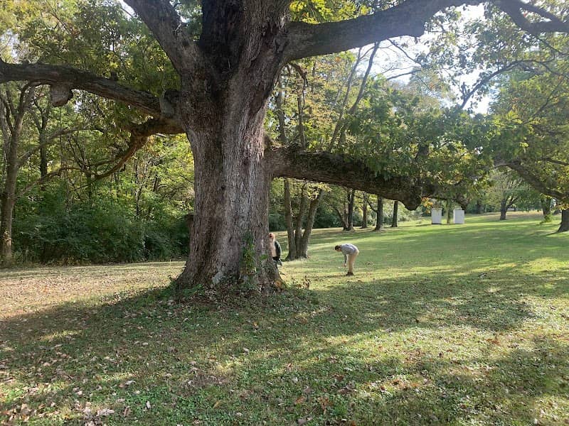 Cotton Hill Park - West - Image 1