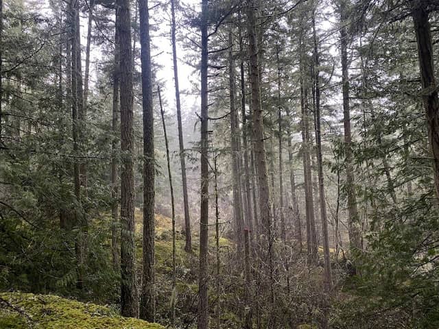 Lopez Hill Trailhead - Image 1