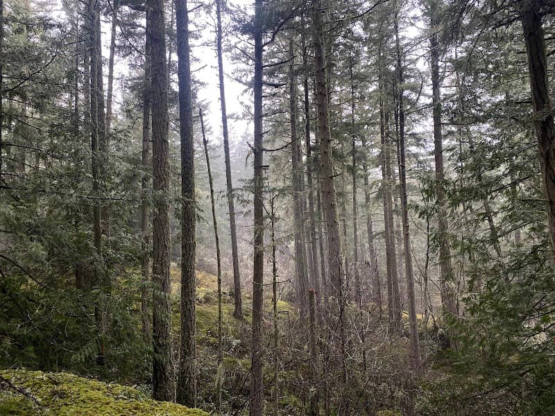 Lopez Hill Trailhead - Image 1