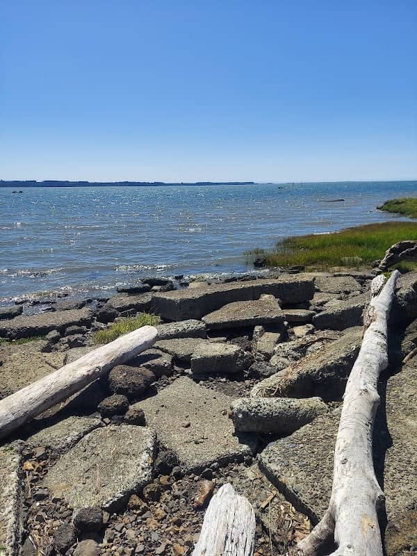 Gary's Grove - Old Cannery Park - Image 1
