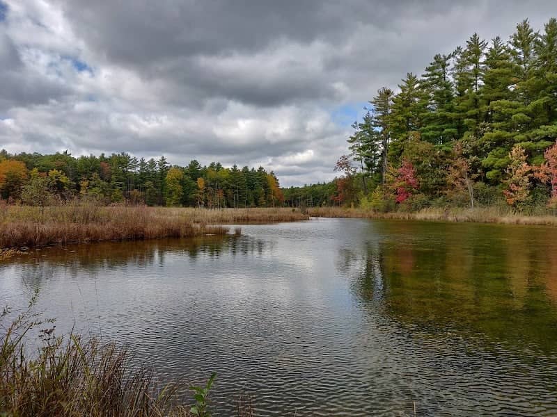 Coolbough Natural Areas - Image 2