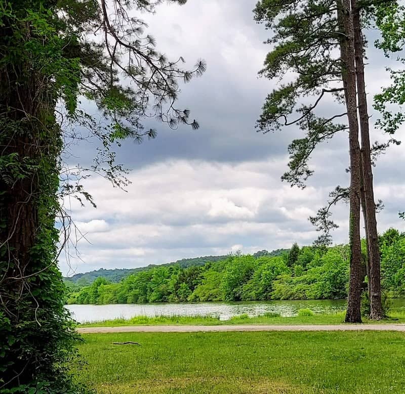 Soddy Daisy Park Bird Sanctuary - Image 3