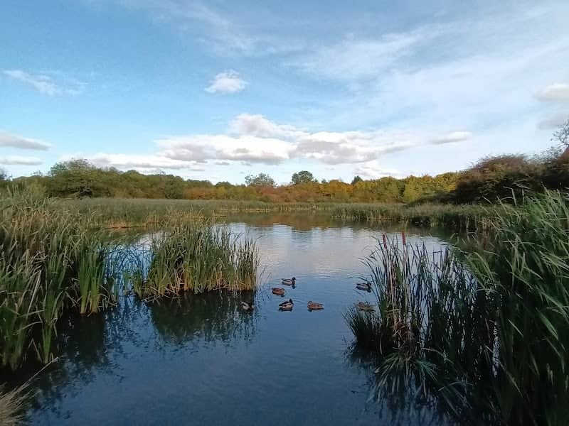 Nature Reserve car park - Image 1