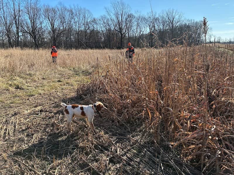 Game Creek Hunting Farms - Image 1
