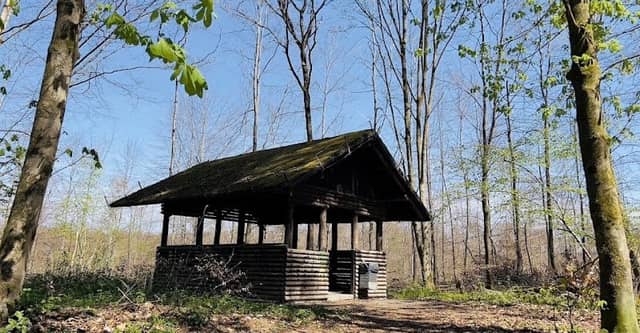 Wald Rastplatz - Forest rest area - Image 1