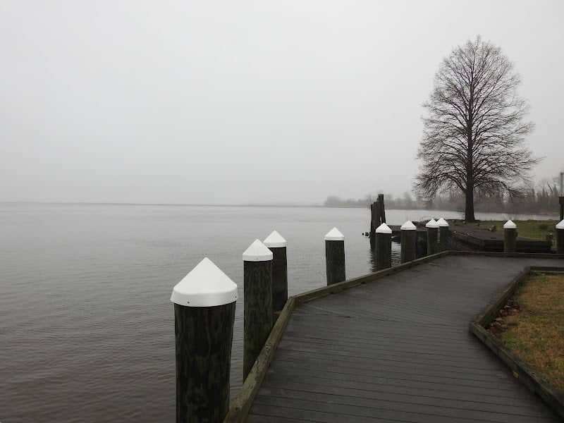 Vienna Waterfront Park - Image 1