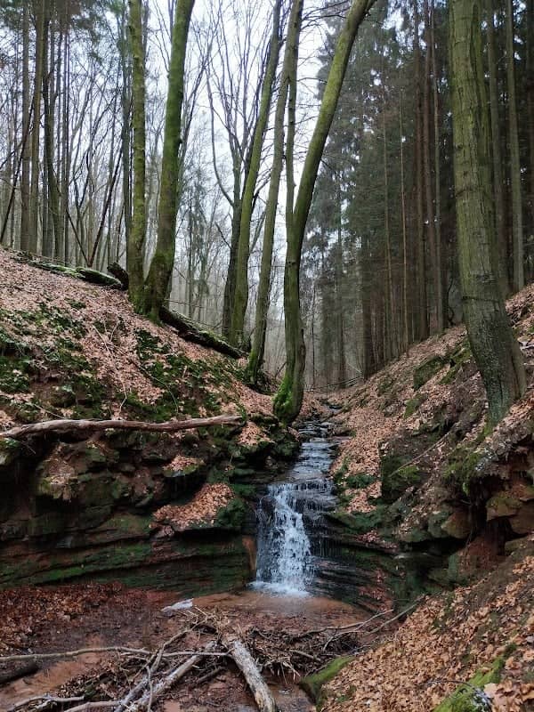 Elendsklamm - Naturdenkmal - Image 1