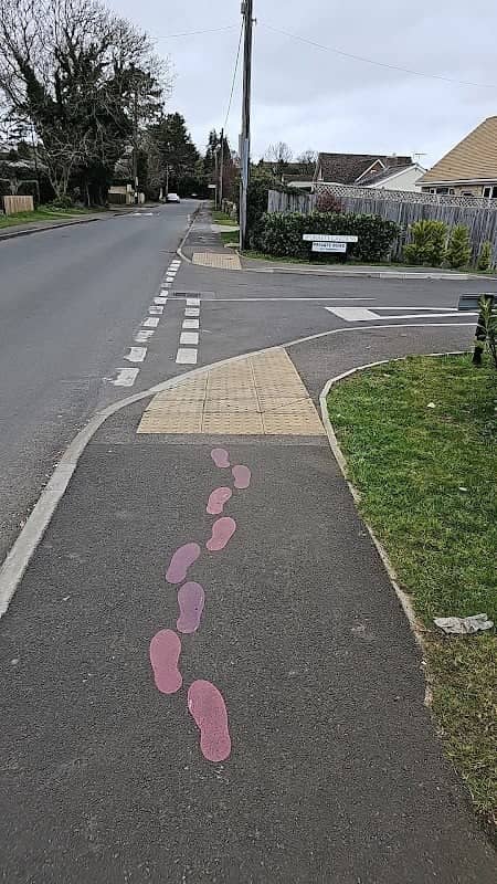 Pink and purple fox trail - Image 1