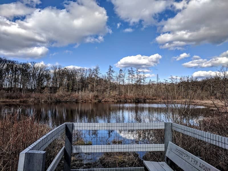 Triangle Lake Bog State Nature Preserve - Image 2