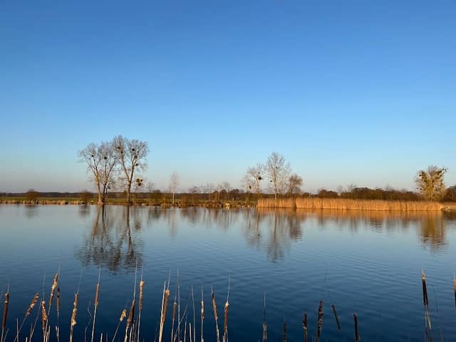 Stausee Neuholland - Image 1