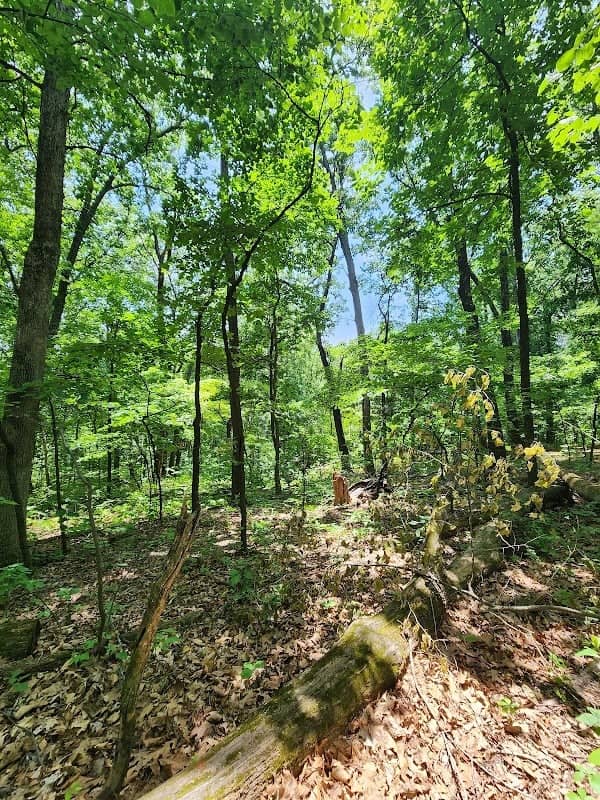 Dogwood Trailhead - Image 1