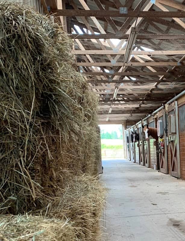 Lake Equestrian Center - Image 1