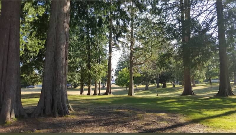 Sam Benn Park - Image 2