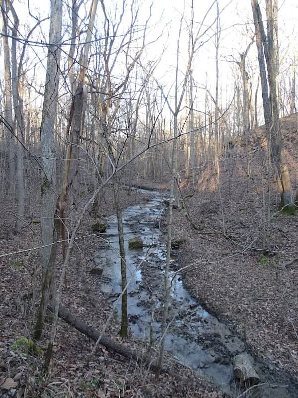 Eagle’s Aerie Trail - Image 1