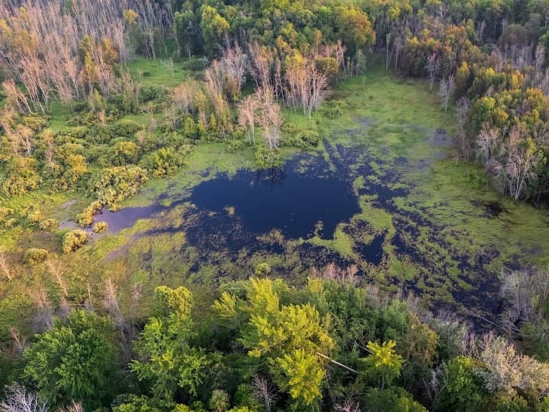 Thorp Pond State Natural Area - Image 2