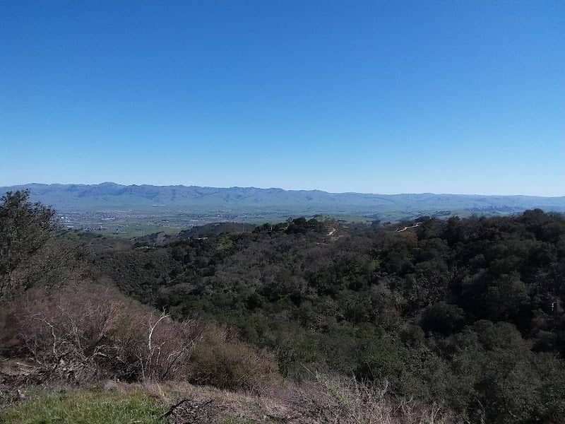 Hollister Park Maintenance - Image 1