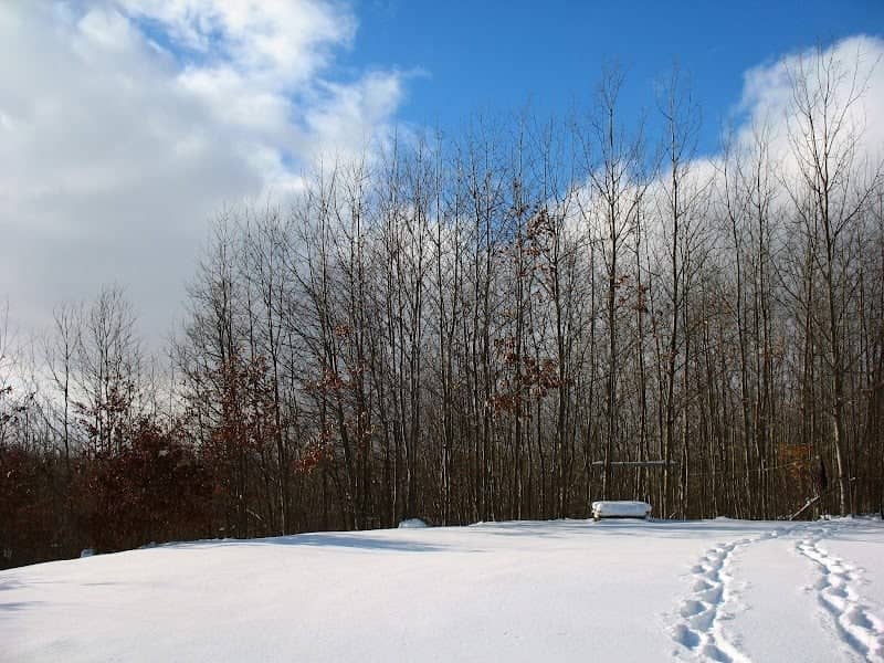 Clare County High Point - Image 1