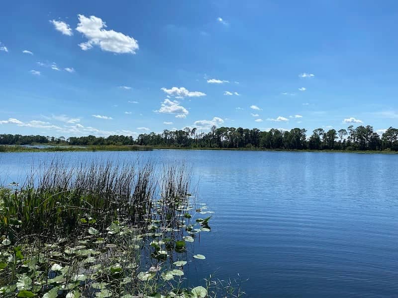 little redwater - Image 1