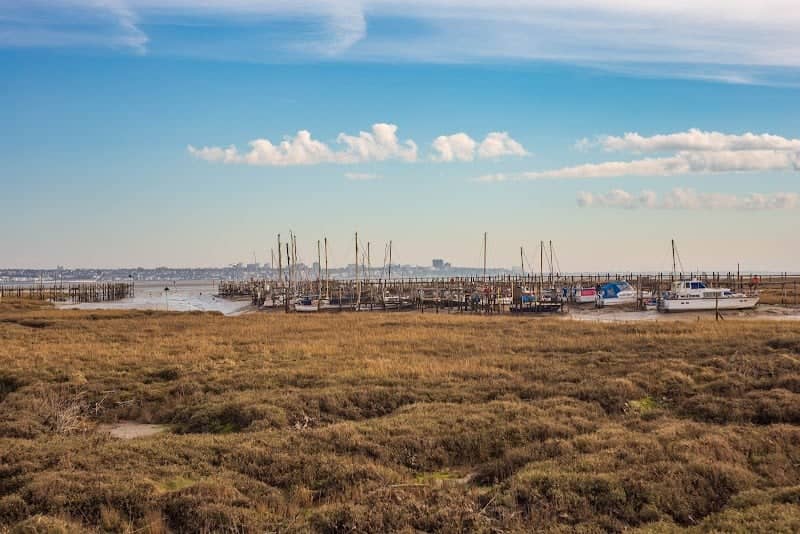 Canvey Heights Country Park - Image 2