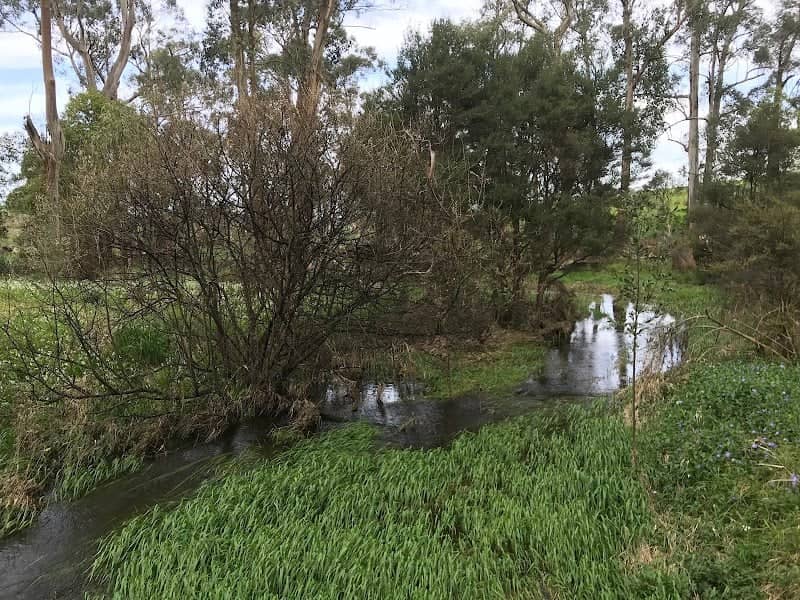 Drouin West G84 Bushland Reserve - Image 1