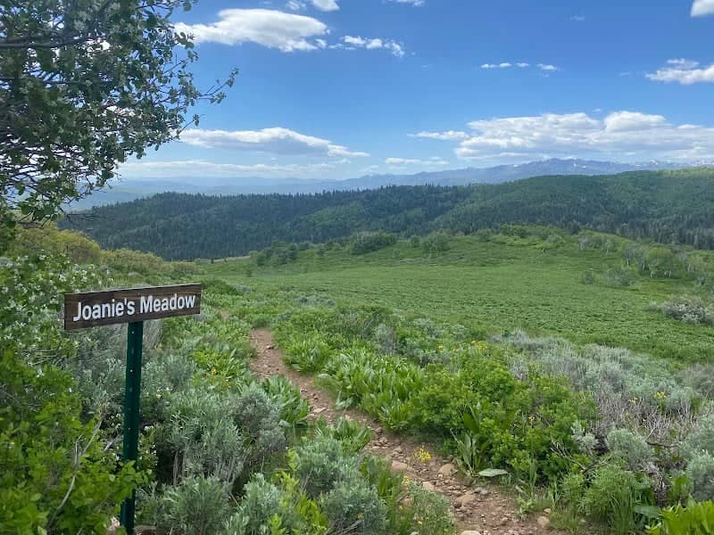Joanie’s Meadow - Image 1